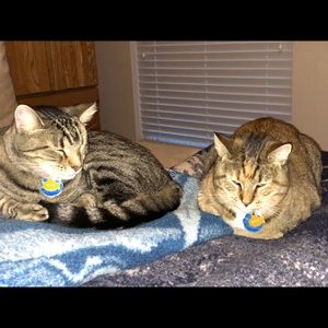 Meet your Posher, Velvet